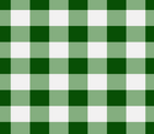 Grünes Vichy-Karo